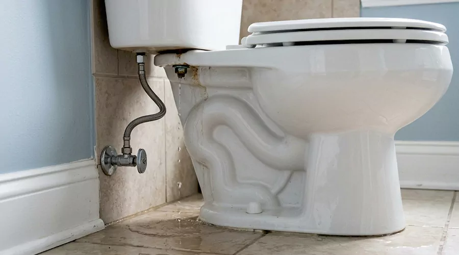 Why Is My Toilet Leaking From the Tank Bolts
