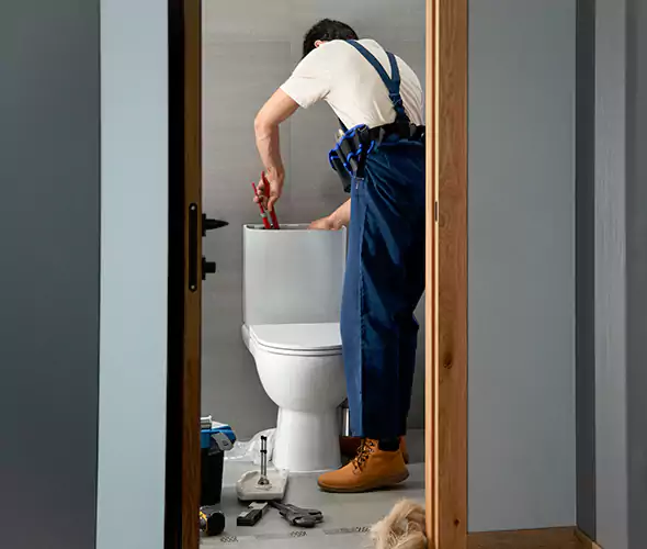 Professional Plumbers for Toilet Bowl Replacement in Abington, MA: Schedule Affordable Toilet Replacement Services With Us