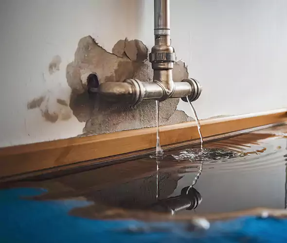 Professional Water Damage Restoration Experts in Abington, MA — Fast, Reliable & Certified