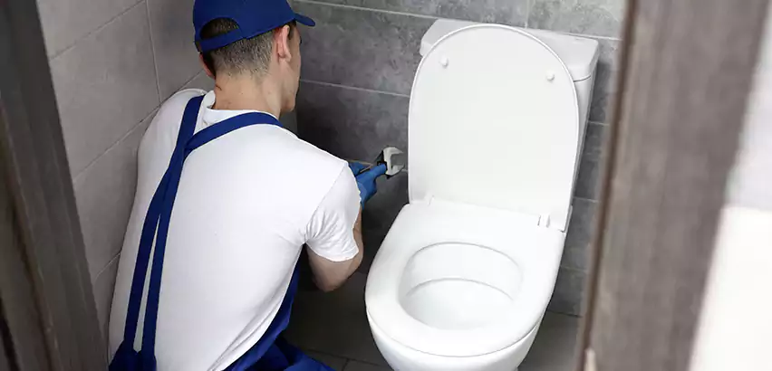 Toilet Lid Replacement in Abington