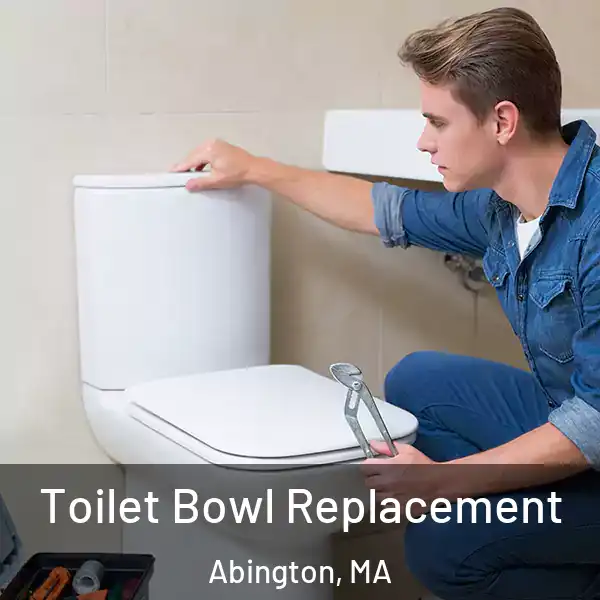  Toilet Bowl Replacement Abington, MA