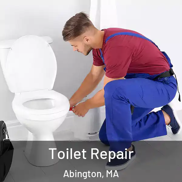  Toilet Repair Abington, MA
