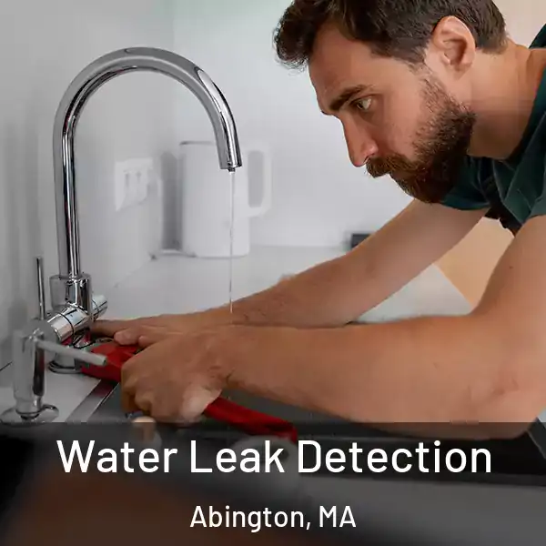  Water Leak Detection Abington, MA