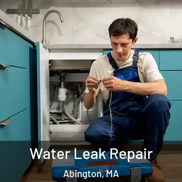  Water Leak Repair Abington, MA